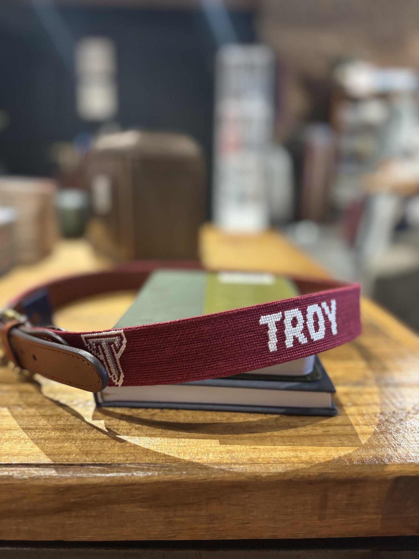 Leather Troy Needlepoint Belt