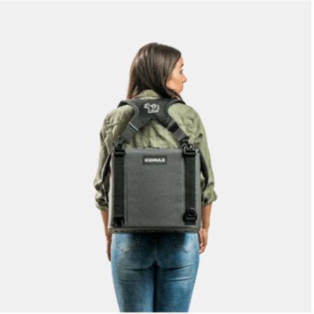 Traveler (25L) Cooler