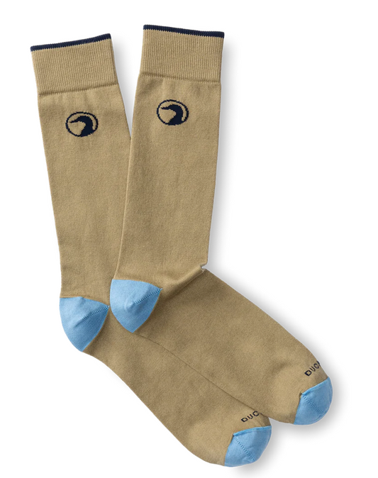 Cotton Solid Dress Sock