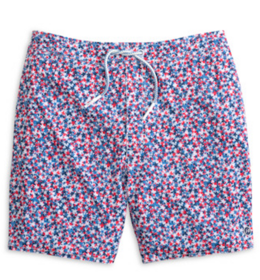Seeing Stars Swim Trunk