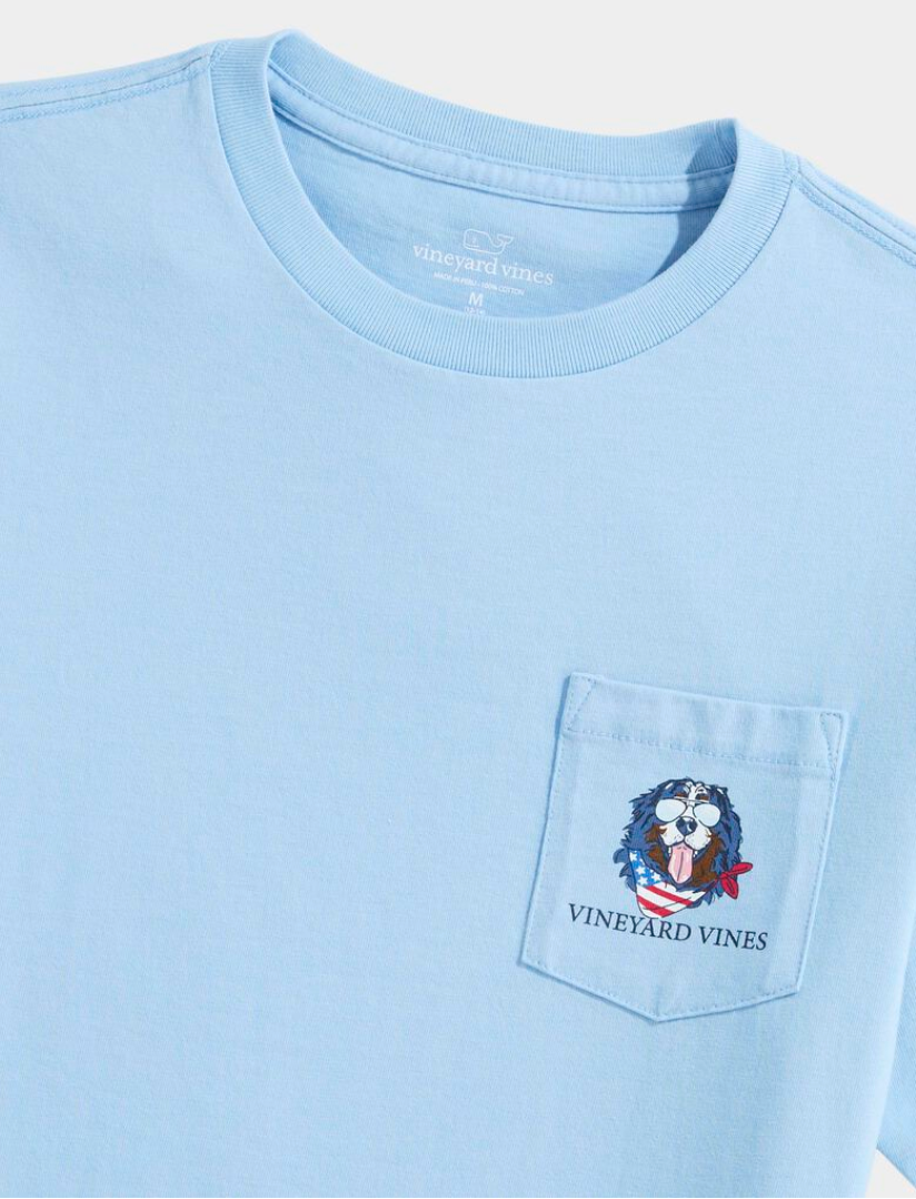 Boys' USA Mountain Dog SS Pocket Tee