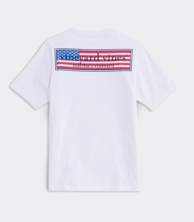Boys Classic USA Logo Box SS Tee