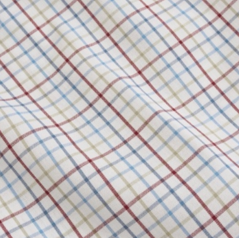 Eucalyptus Hillcrest Cotton Sport Shirt