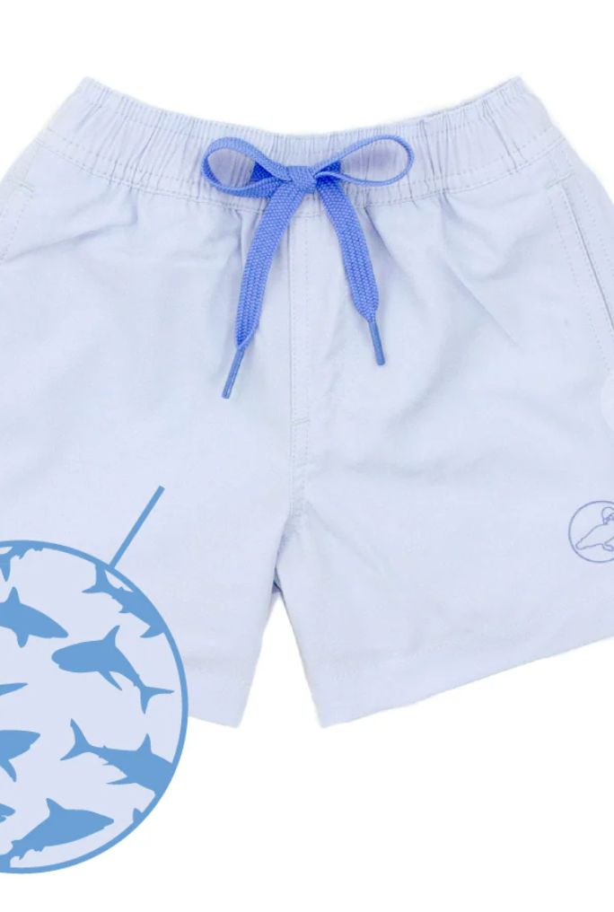 Boys Splash Swim Trunk