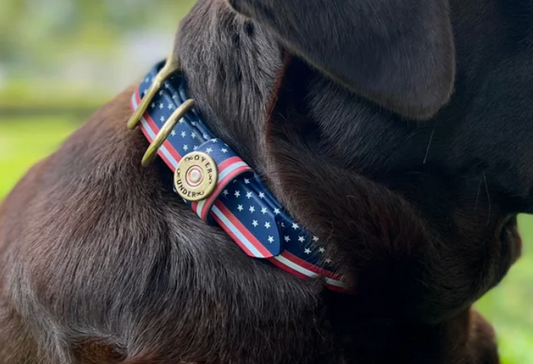 Water Dog Collar- Patriot