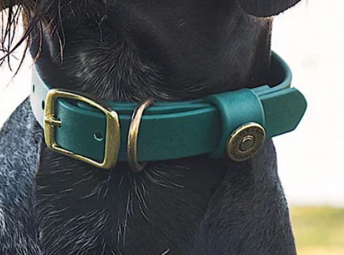 Water Dog Collar- Alpine Green