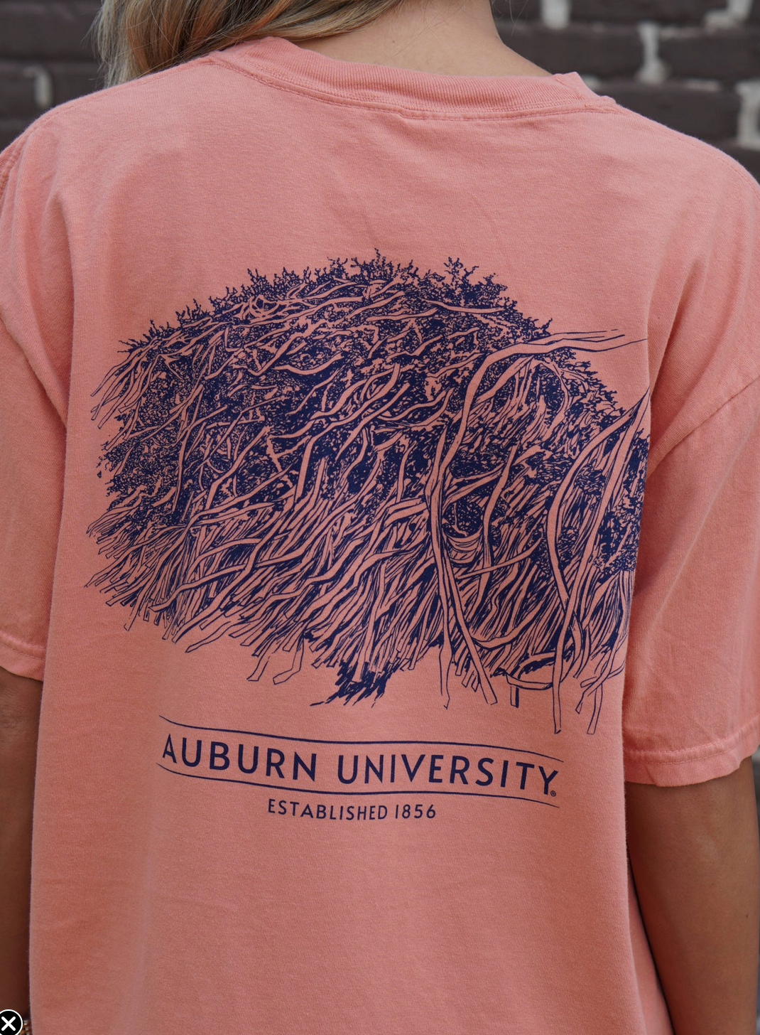 Auburn T-Shirt- Toomers Tree