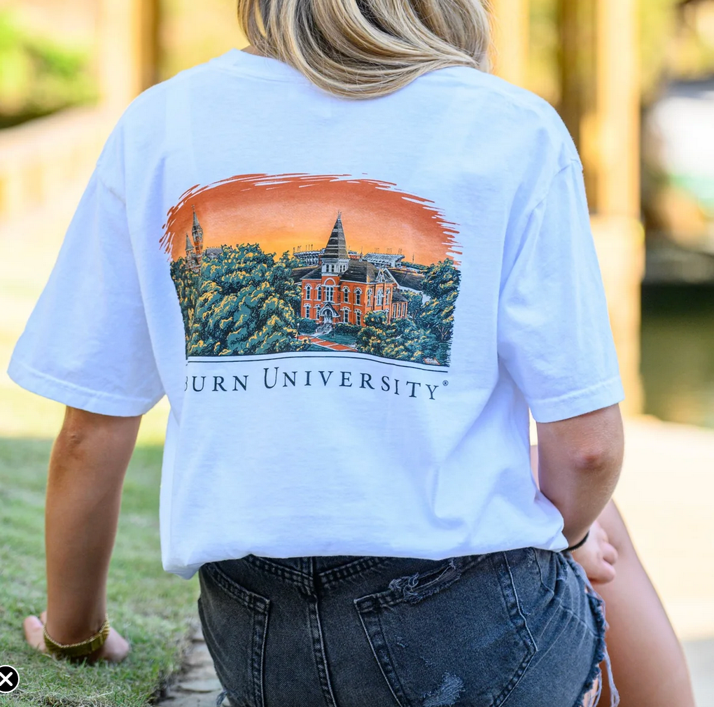 Auburn T-Shirt- Auburn Skyline