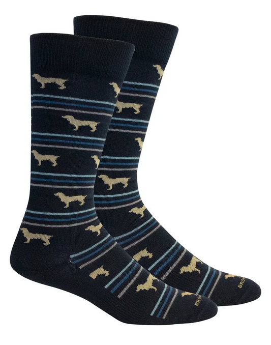 Brown Dog Socks- Boykin Stripe