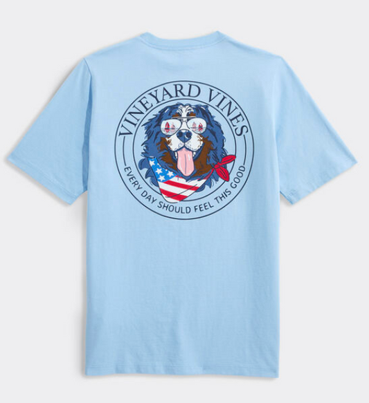 Boys' USA Mountain Dog SS Pocket Tee