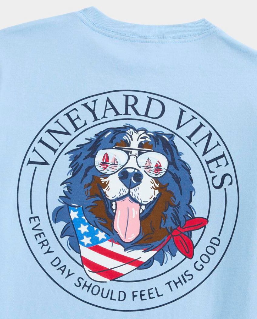 Boys' USA Mountain Dog SS Pocket Tee