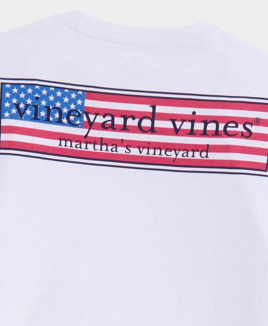 Boys Classic USA Logo Box SS Tee