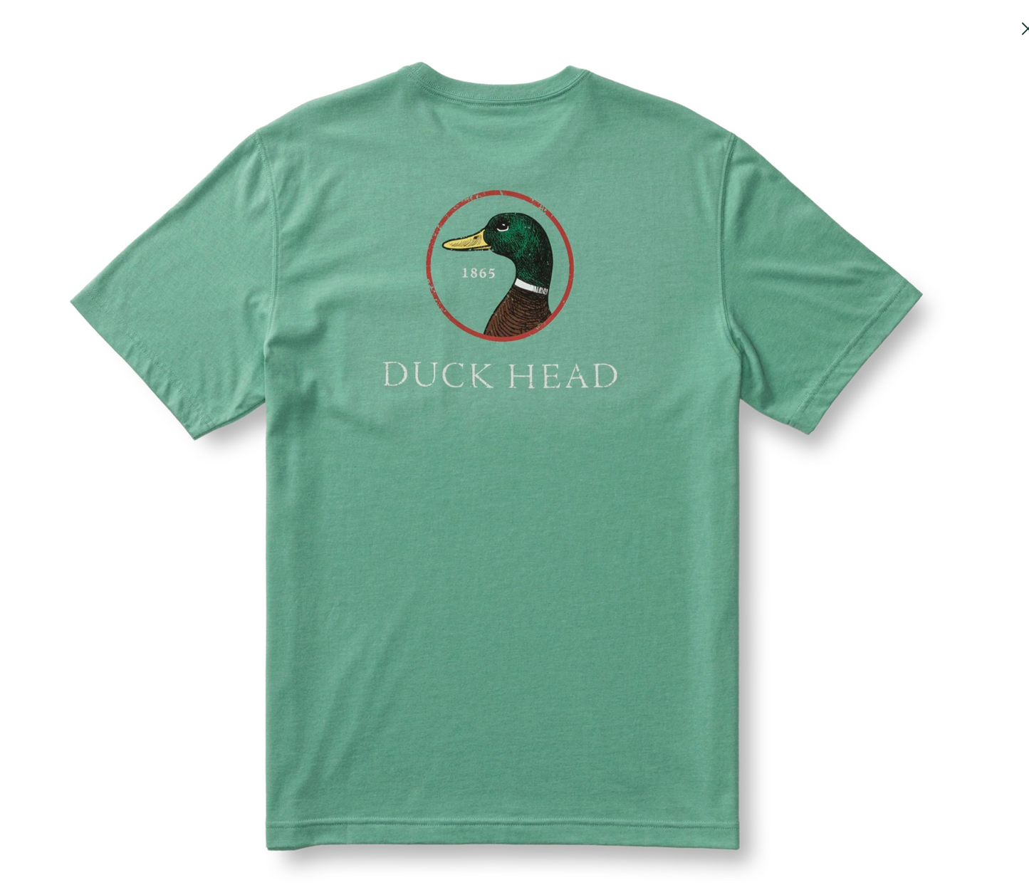 Spring 2026 Duck Head Tees