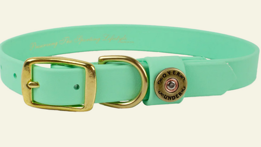 Water Dog Collar- Mint