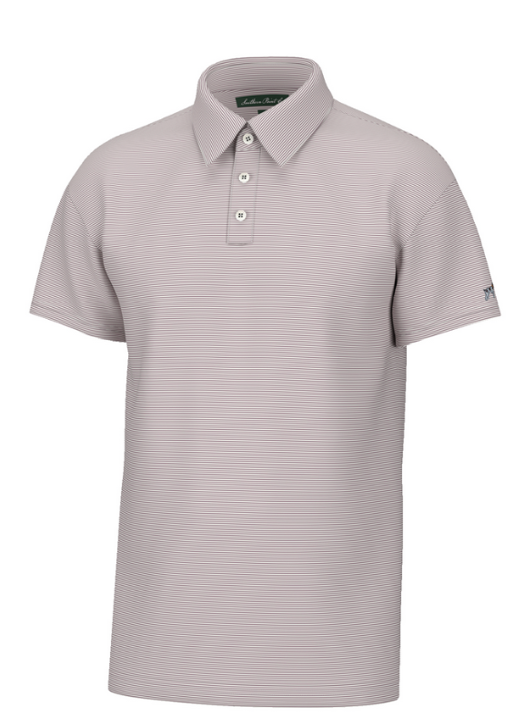 Hinton Stripe Polo
